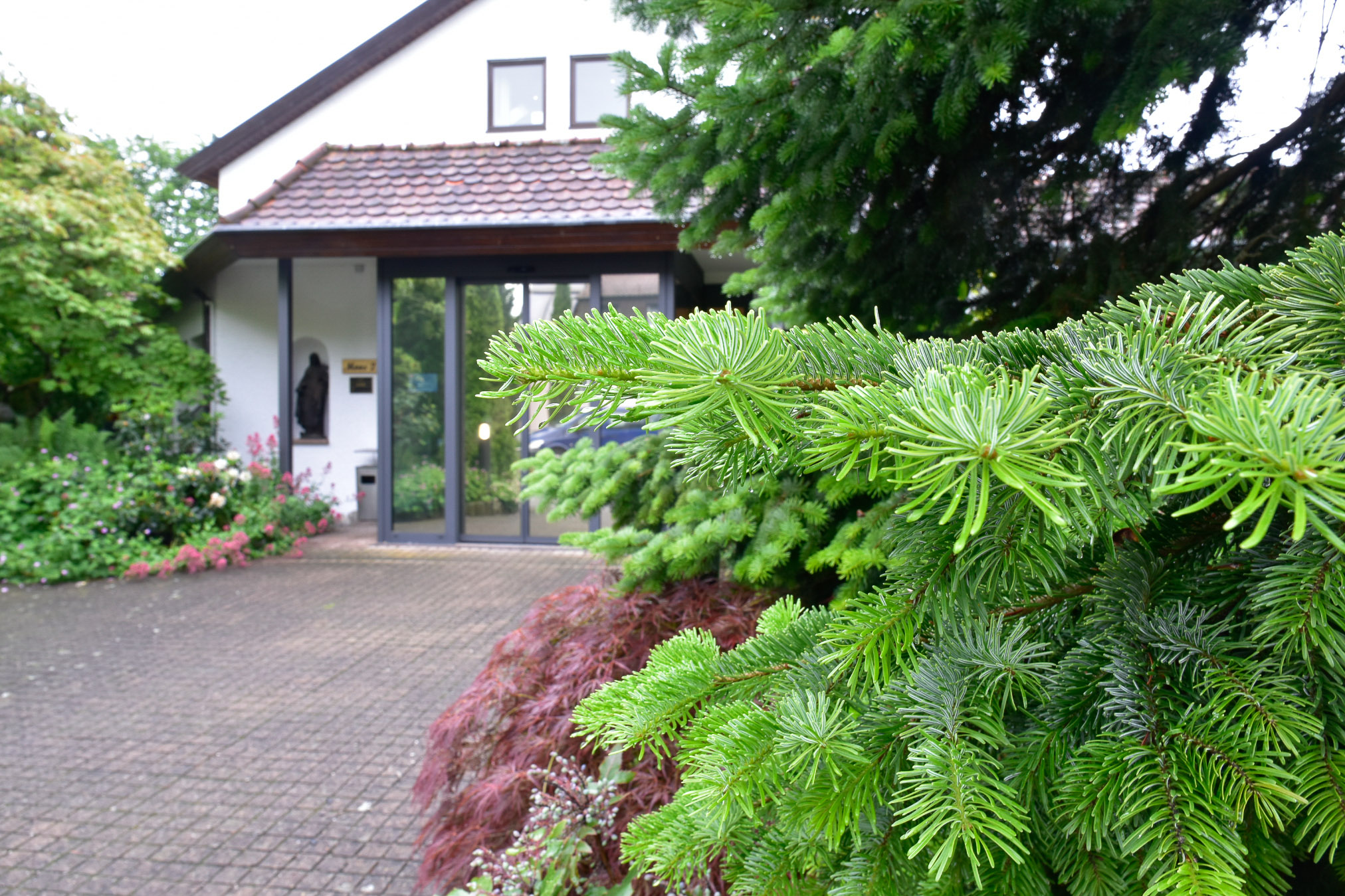 20240602082209 AOA0298